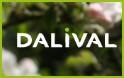 dalival