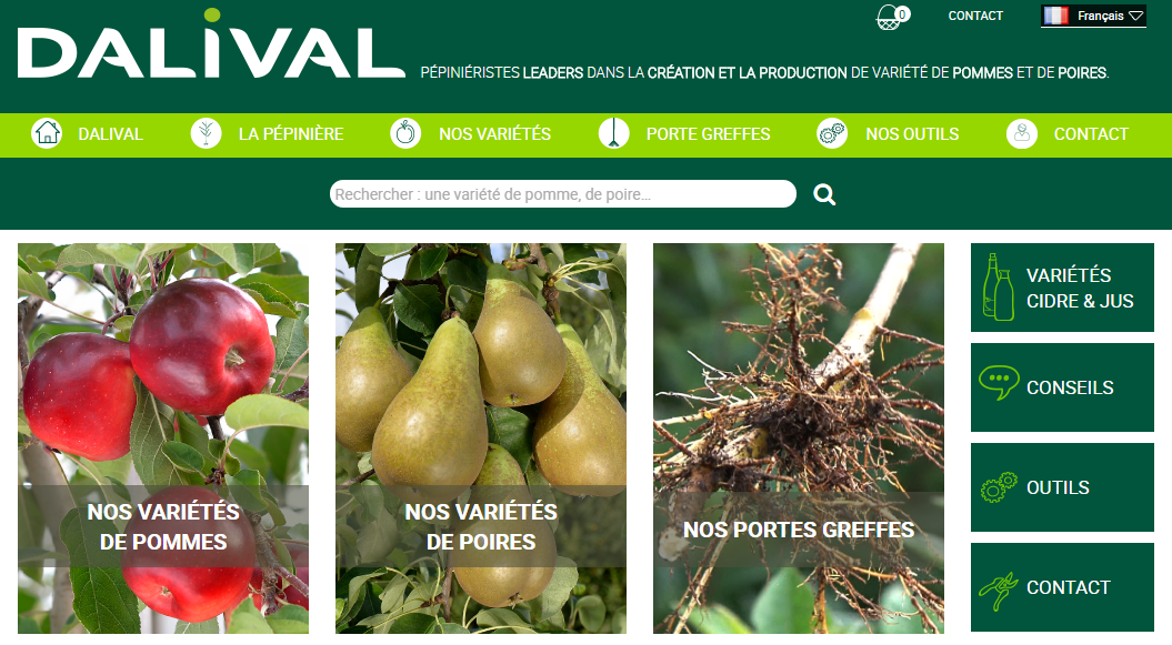 nouveau site web Dalival