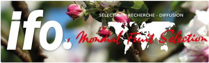IFO Mondial Fruit Sélection - R&D Dalival