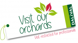 Dalival---visite-verger-visit-orchards-ANG-for-professionals