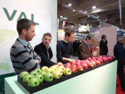 Dalival Interpoma Italie