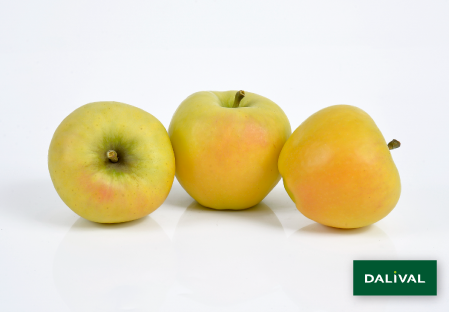 Apple - Apple tree - Dalival - ALTESS DALITRON