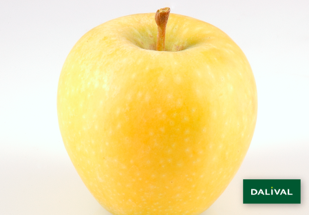 Apple - Apple tree - Dalival - ALTESS DALITRON