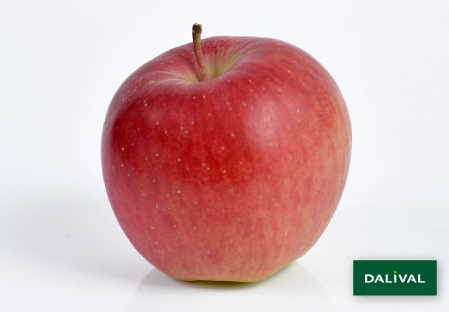 Apple - Apple tree - Dalival - AMBROSIA COV