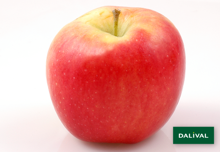 Apple - Apple tree - Dalival - AMBROSIA COV