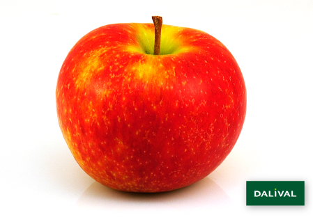 Apple - Apple tree - Dalival - ANTARES DALINBEL