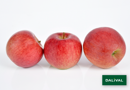 Apple - Apple tree - Dalival - ANTARES DALINBEL