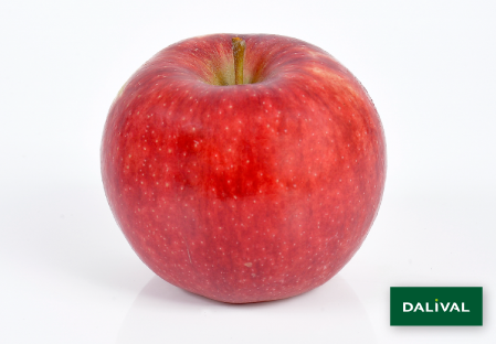 Apple - Apple tree - Dalival - ANTARES DALINBEL