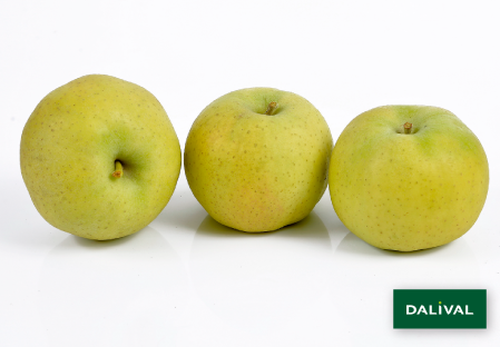 Apple - Apple tree - Dalival - BELCHARD CHANTECLER