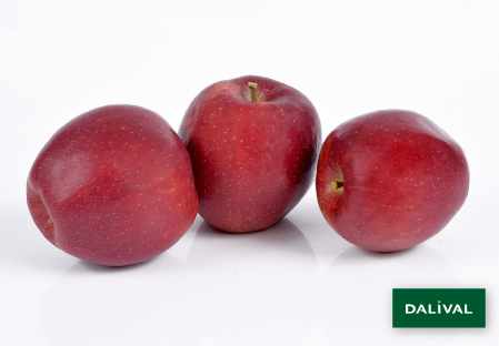 Apple - Apple tree - Dalival - APORO MARIRI RED COV