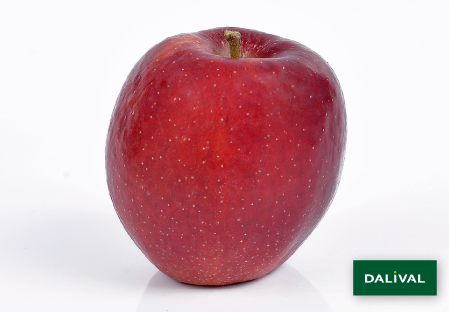 Apfel -Apfelbaum - Dalival - APORO MARIRI RED COV