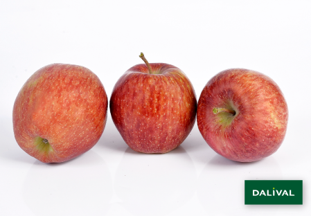Apple - Apple tree - Dalival -  CAMEO CAUDLE