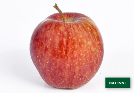 Apple - Apple tree - Dalival -  CAMEO CAUDLE