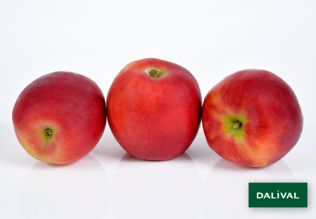 Variete pomme pommier Dalival CRIMSON CRISP COOP 39