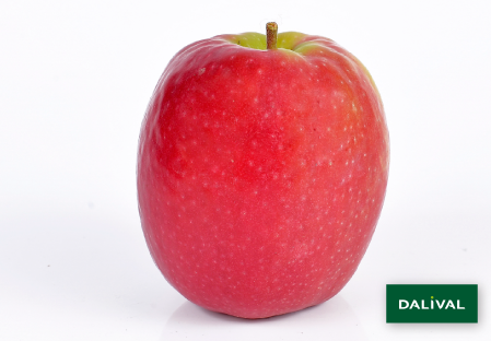 Variete pomme pommier Dalival PINK LADY ROSYGLOW