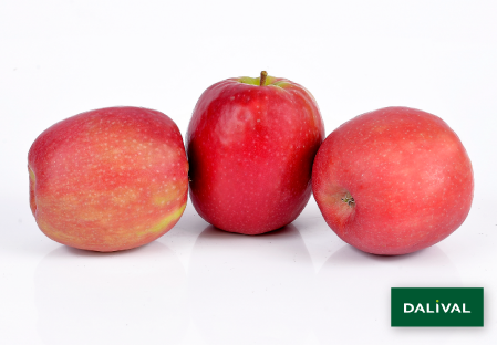 Variete pomme pommier Dalival PINK LADY ROSYGLOW