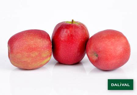 Apple - Apple tree - Dalival - PINK LADY ROSYGLOW