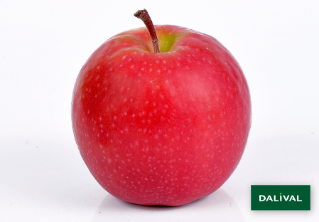 Apple - Apple tree - Dalival - PINK LADY SEKZIE