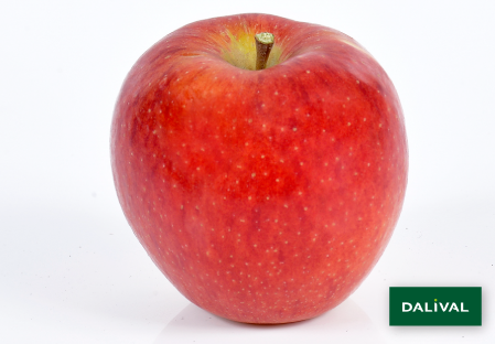 Apple - Apple tree - Dalival - DALICLASS COV