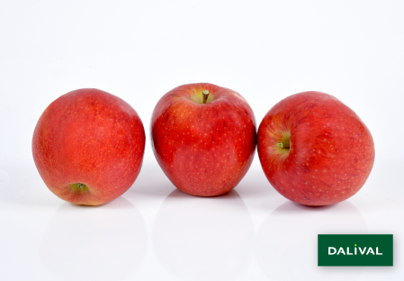 Apple - Apple tree - Dalival - DALICLASS COV