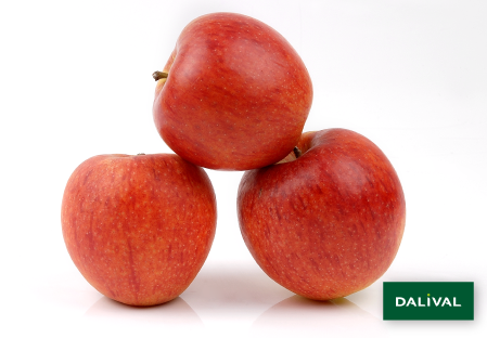 Variedad - Manzana - Manzano - Dalival - DALICLASS COV