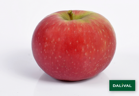 Variedad - Manzana - Manzano - Dalival - DALILIGHT