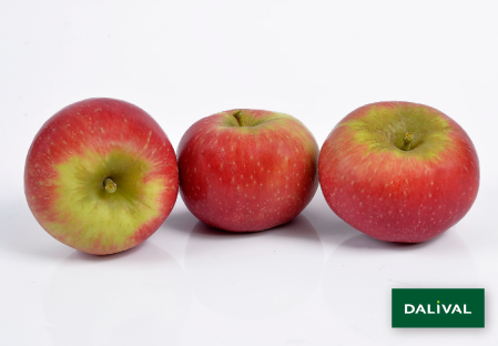 Apple - Apple tree - Dalival - DALILIGHT