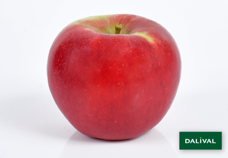 Apple - Apple tree - Dalival - DALINCO