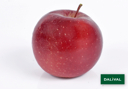 Apple - Apple tree - Dalival - CHOUPETTE DALINETTE