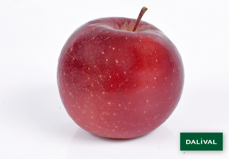 Variedad - Manzana - Manzano - Dalival - CHOUPETTE DALINETTE