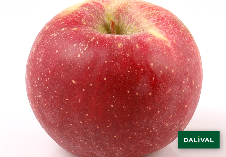 Odmiana - jablko - Dalival - DALINSWEET