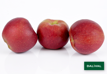 Odmiana - jablko - Dalival - DALINSWEET