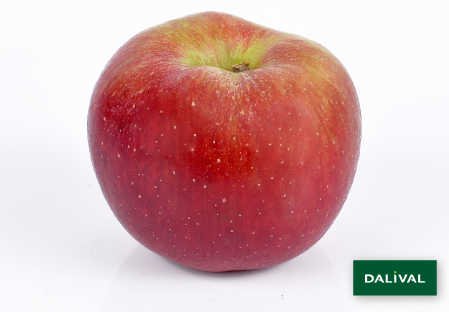 Variedad - Manzana - Manzano - Dalival - DALINSWEET