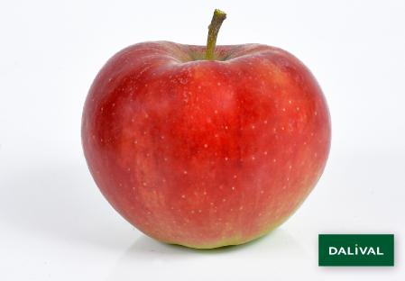 Apple - Apple tree - Dalival - Elstar Dalistar