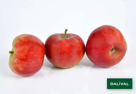 Apple - Apple tree - Dalival - Elstar Dalistar