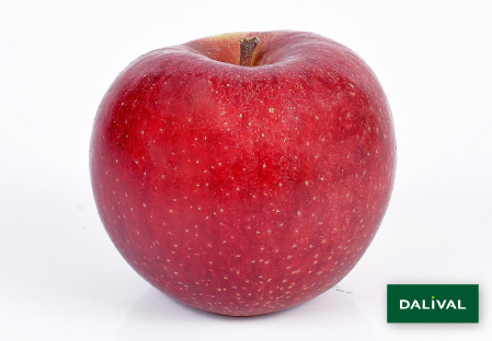 Apple - Apple tree - Dalival - ENVY SCILATE