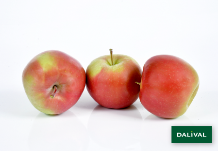 Variedad - Manzana - Manzano - Dalival - FUJI SEPTEMBER WONDER FIERO