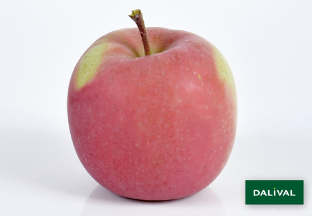 Variedad - Manzana - Manzano - Dalival - FUJI SEPTEMBER WONDER FIERO