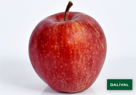 Apple - Apple tree - Dalival - BROOKFIELD BAIGENT