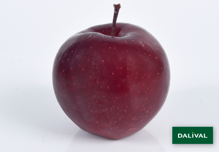 Apple - Apple tree - Dalival -  GALA DEVIL