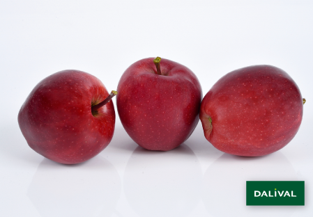 Apple - Apple tree - Dalival - GALA GALAVAL