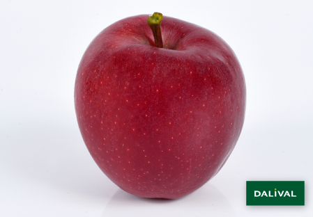 Apple - Apple tree - Dalival - GALA GALAVAL