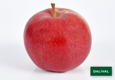 Odmiana - jablko - Dalival - GALIWA CH101