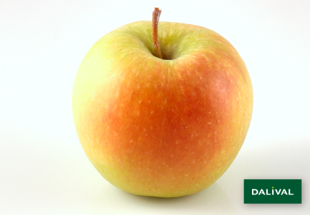 Apple - Apple tree - Dalival - GOLDEN DELICIOUS LERATESS