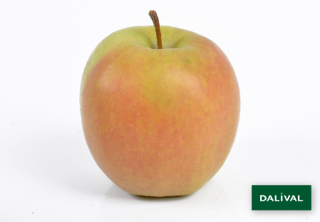 Apple - Apple tree - Dalival - GOLDEN DELICIOUS LERATESS