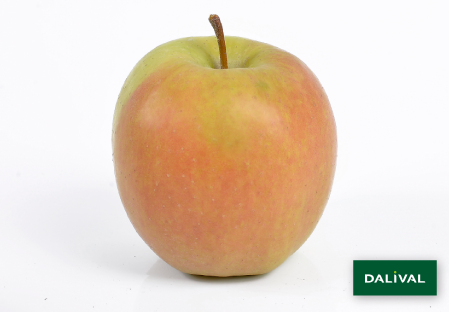 Variete pomme pommier Dalival GOLDEN DELICIOUS LERATESS