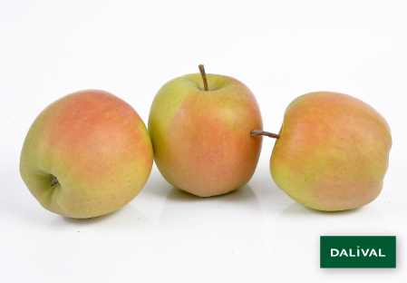 Apple - Apple tree - Dalival - GOLDEN DELICIOUS LERATESS