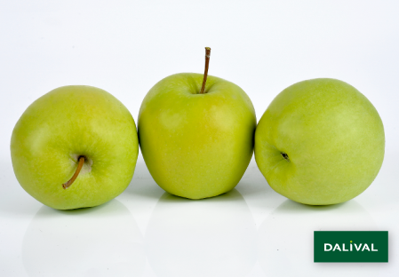 Variete pomme pommier Dalival GOLDEN DELICIOUS REINDERS