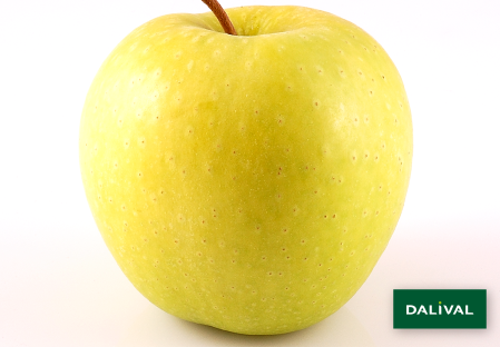 Apple - Apple tree - Dalival - GOLDEN DELICIOUS REINDERS