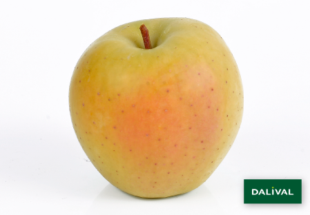 Variete pomme pommier Dalival GOLDRUSH DELISDOR COOP 38